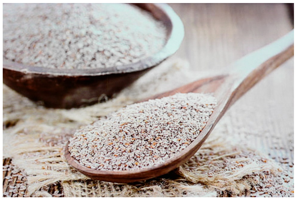 Psyllium (차전자피) em pó em colher de madeira