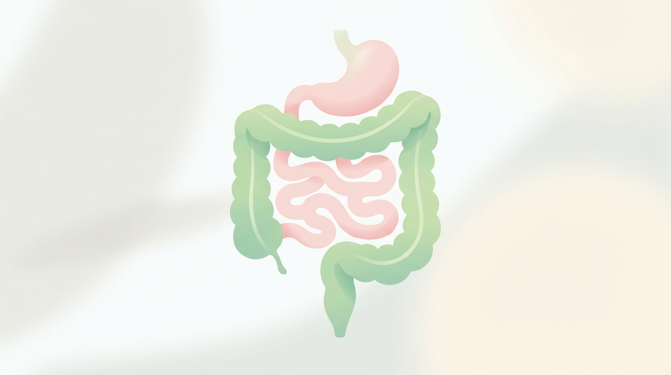Ilustração de intestino saudável e equilíbrio da flora intestinal